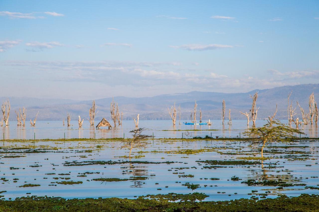 Lake Naivasha Resort Εξωτερικό φωτογραφία